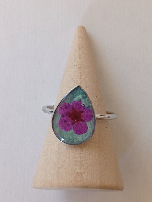 Anillo San Simón