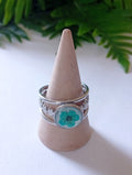 Anillo Marín