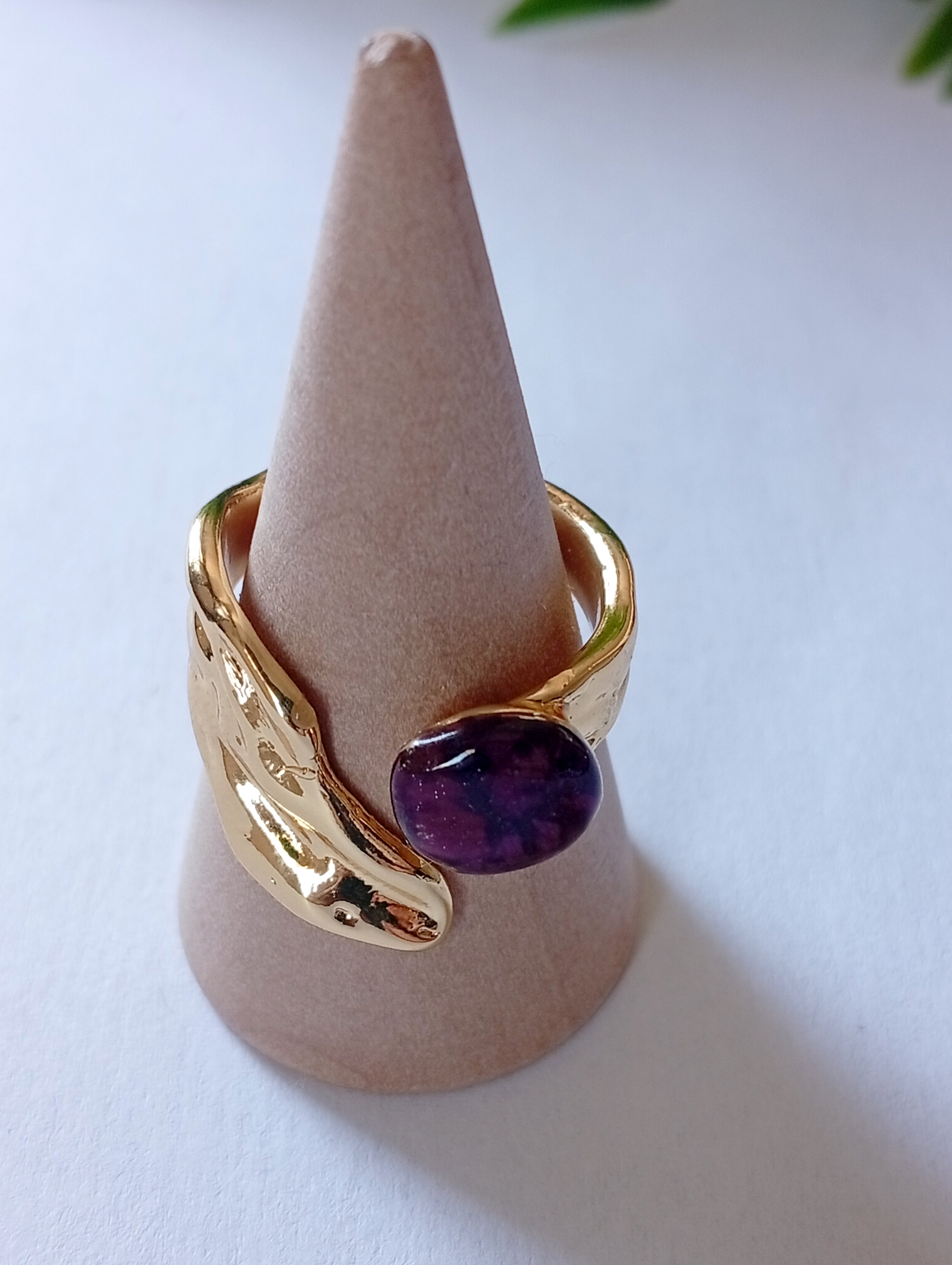 Anillo Benquerencia
