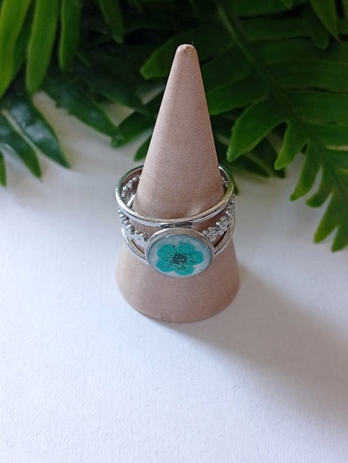 Anillo Marín