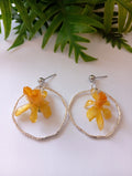 Pendientes Lourizan