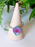 Anillo San Simón