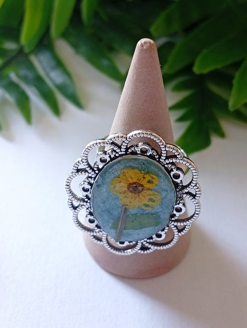 Anillo Bueu